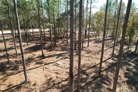 93RD Terrace Archer FL 32618