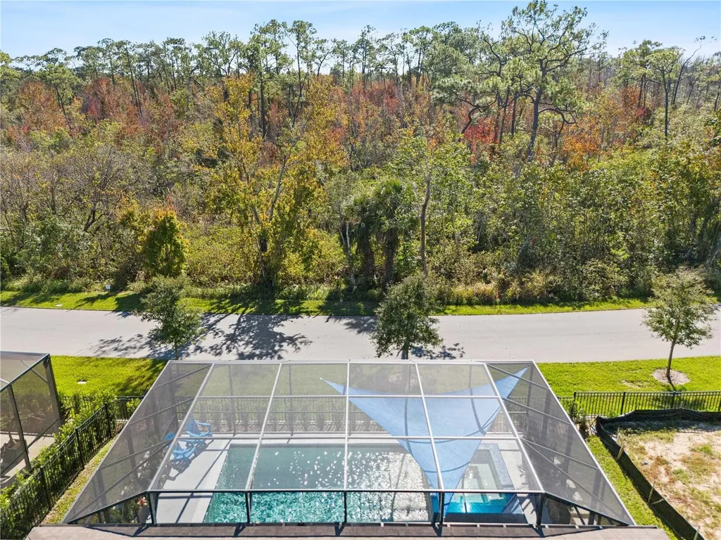 15162 Canopy Cover Drive Winter Garden FL 34787
