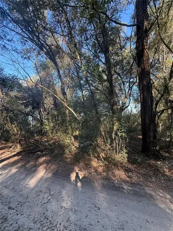 SW 148th Ct 32 Nd Place Ocala FL 34481