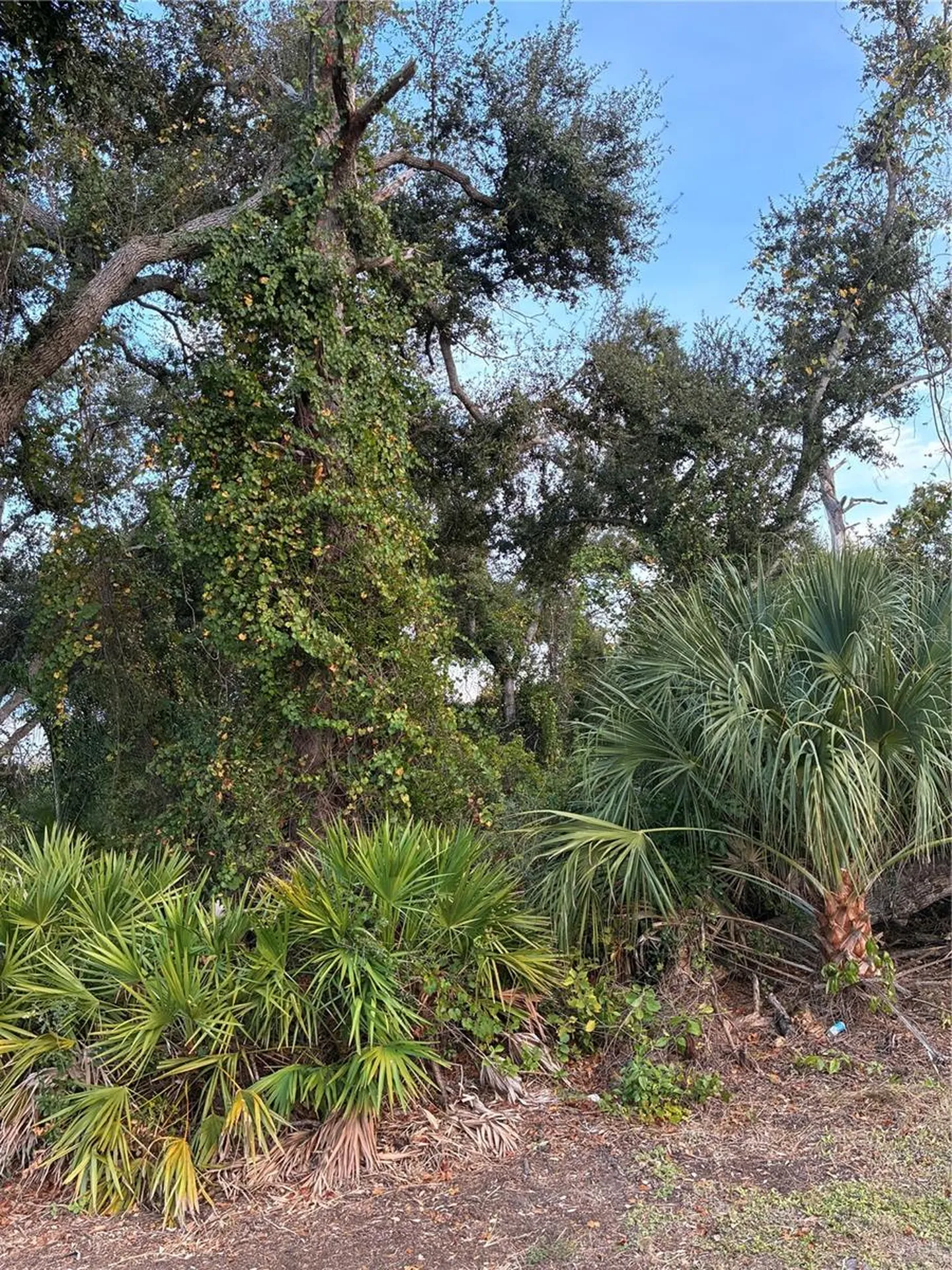 Mendavia Terrace North Port FL 34286