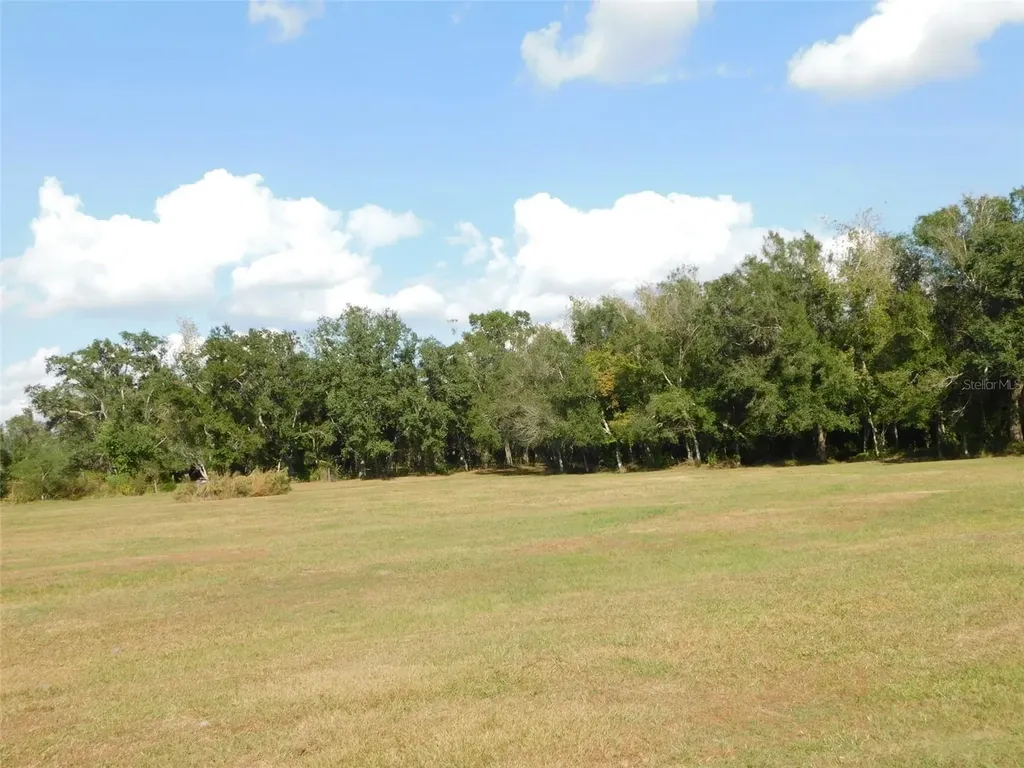 2460 NW Garvin Avenue Arcadia FL 34266