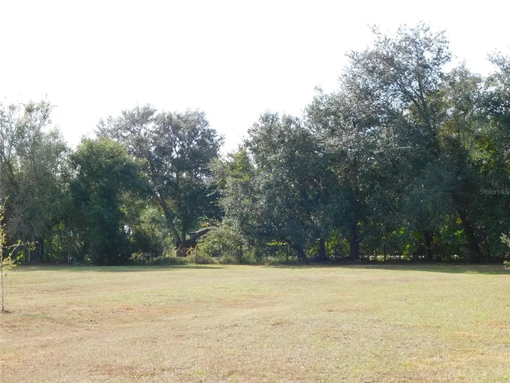 2460 NW Garvin Avenue Arcadia FL 34266