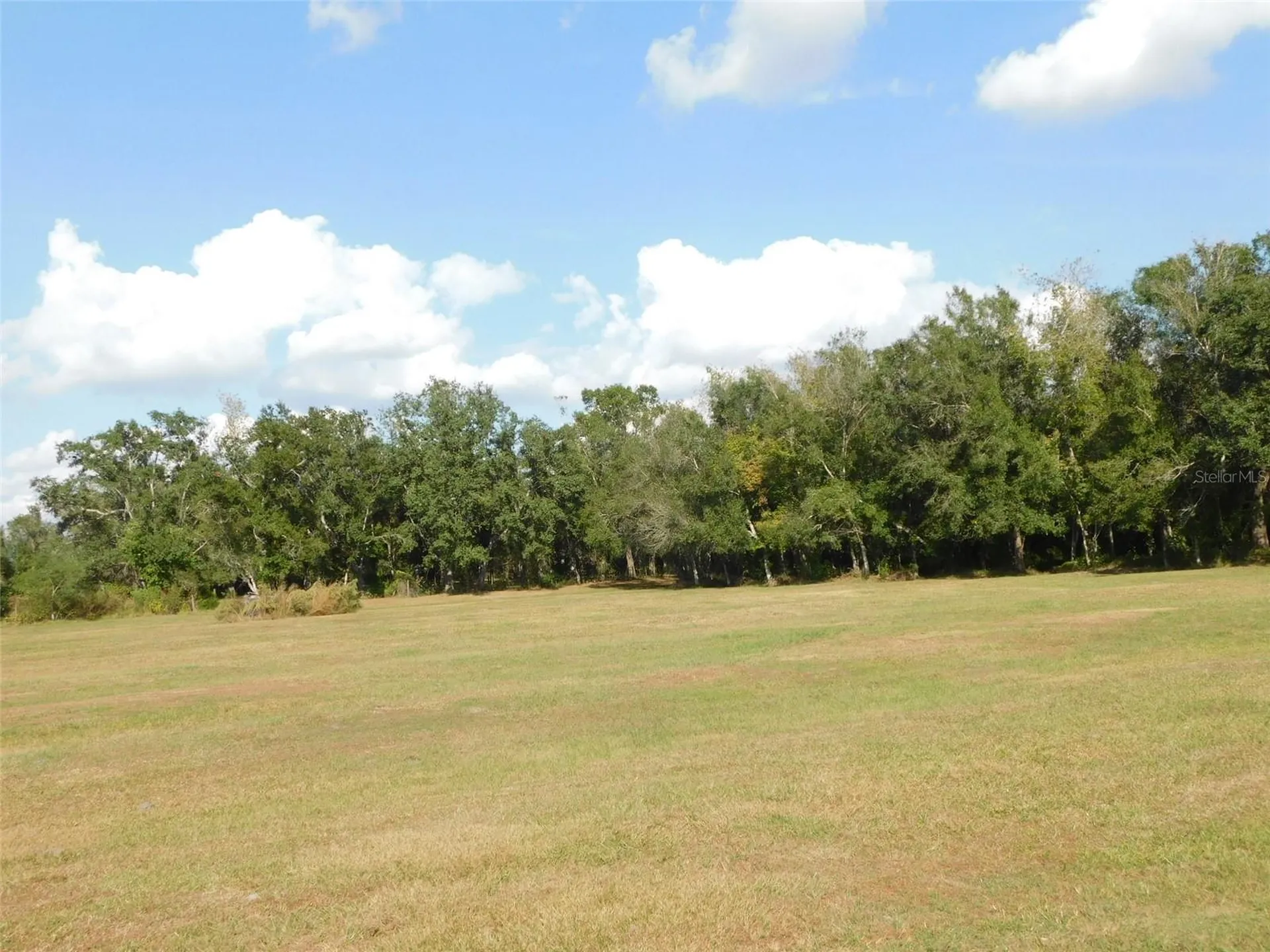 2460 NW Garvin Avenue Arcadia FL 34266