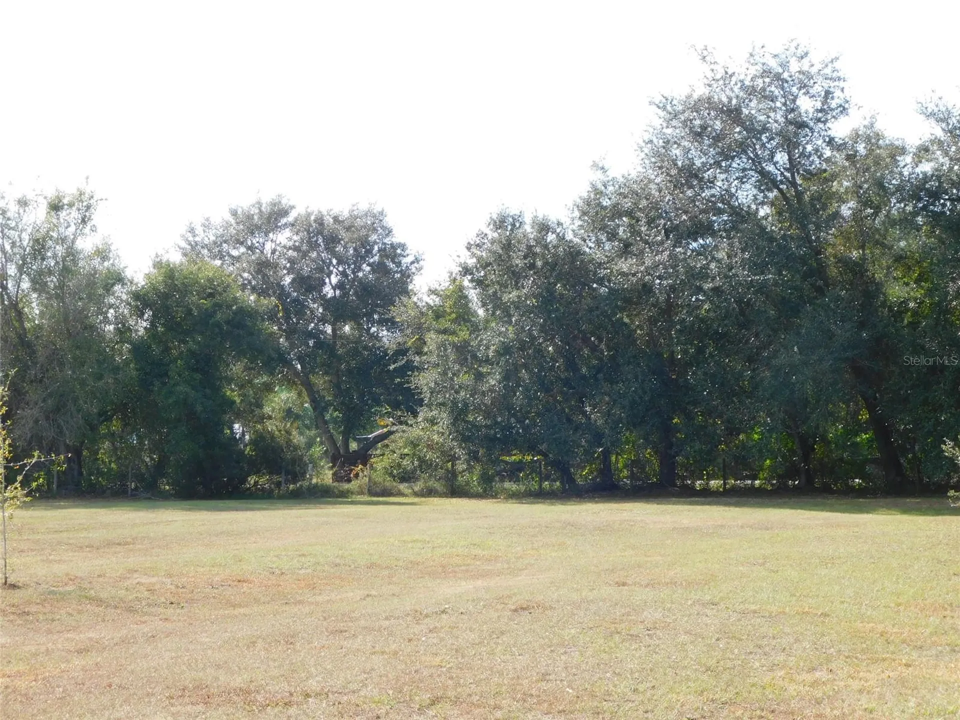 2460 NW Garvin Avenue Arcadia FL 34266