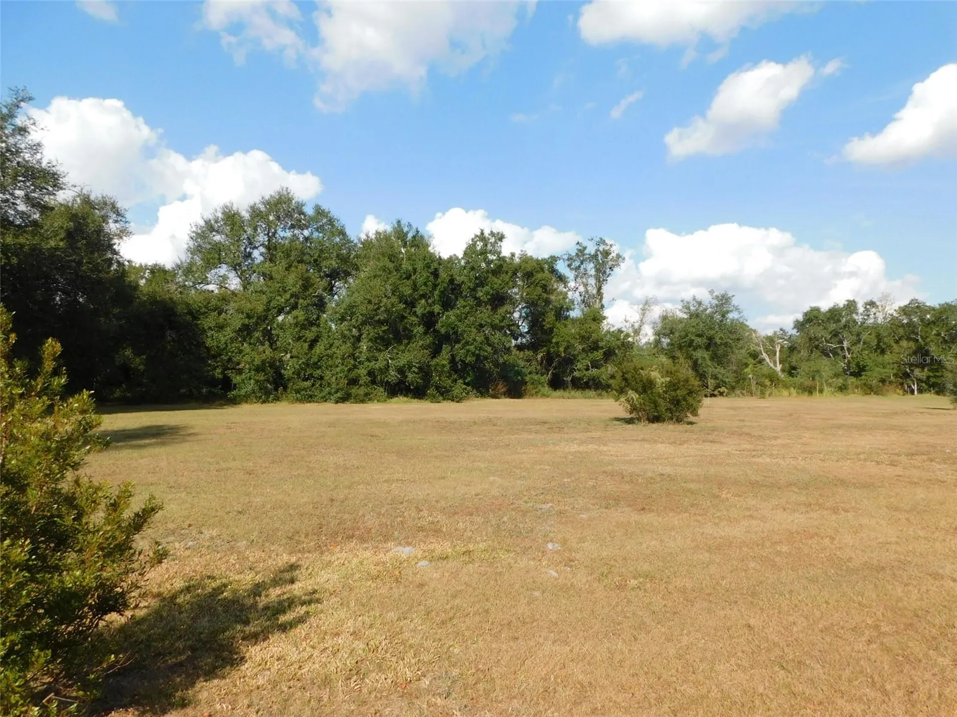 2460 NW Garvin Avenue Arcadia FL 34266