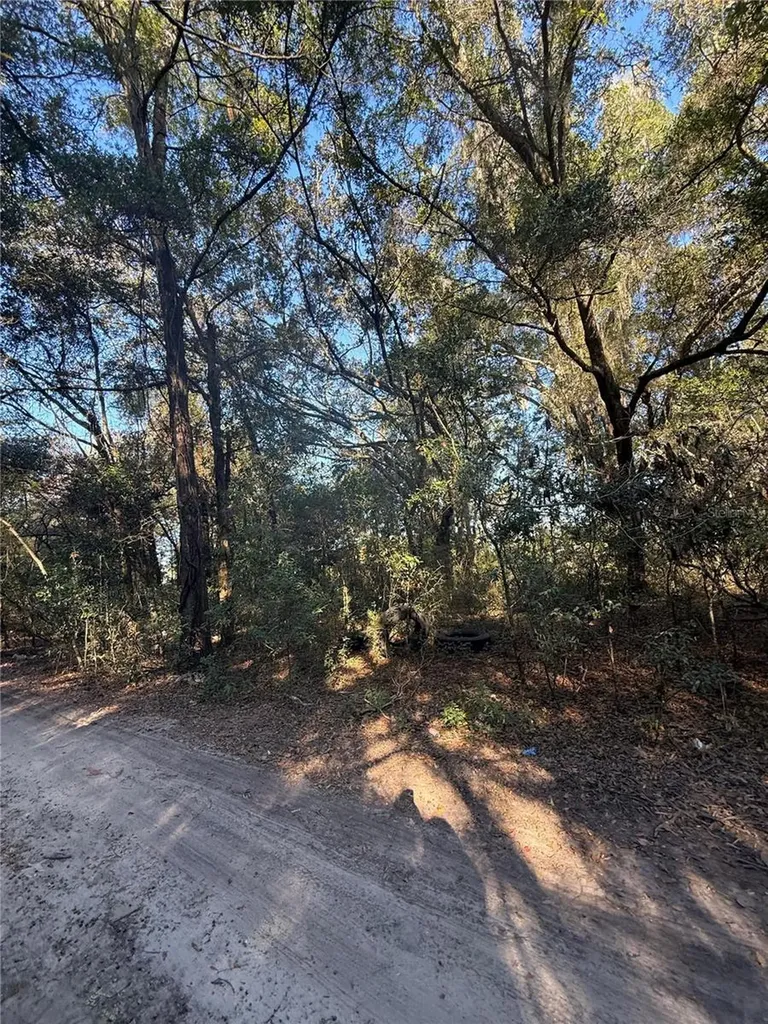 SW 148th Court 32nd Place Ocala FL 34481