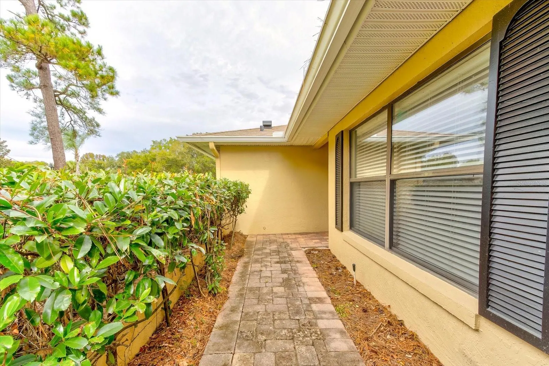 4603 Woodlot Court Orlando FL 32835