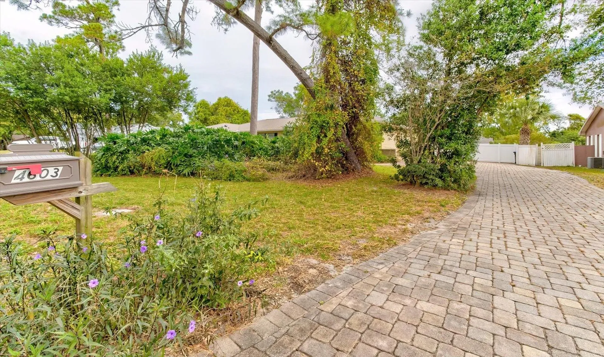 4603 Woodlot Court Orlando FL 32835