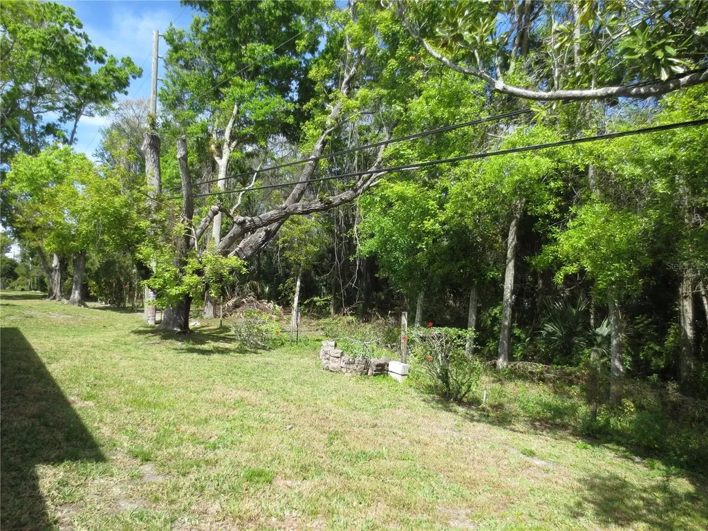 3235 E Dorchester Drive Palm Harbor FL 34684