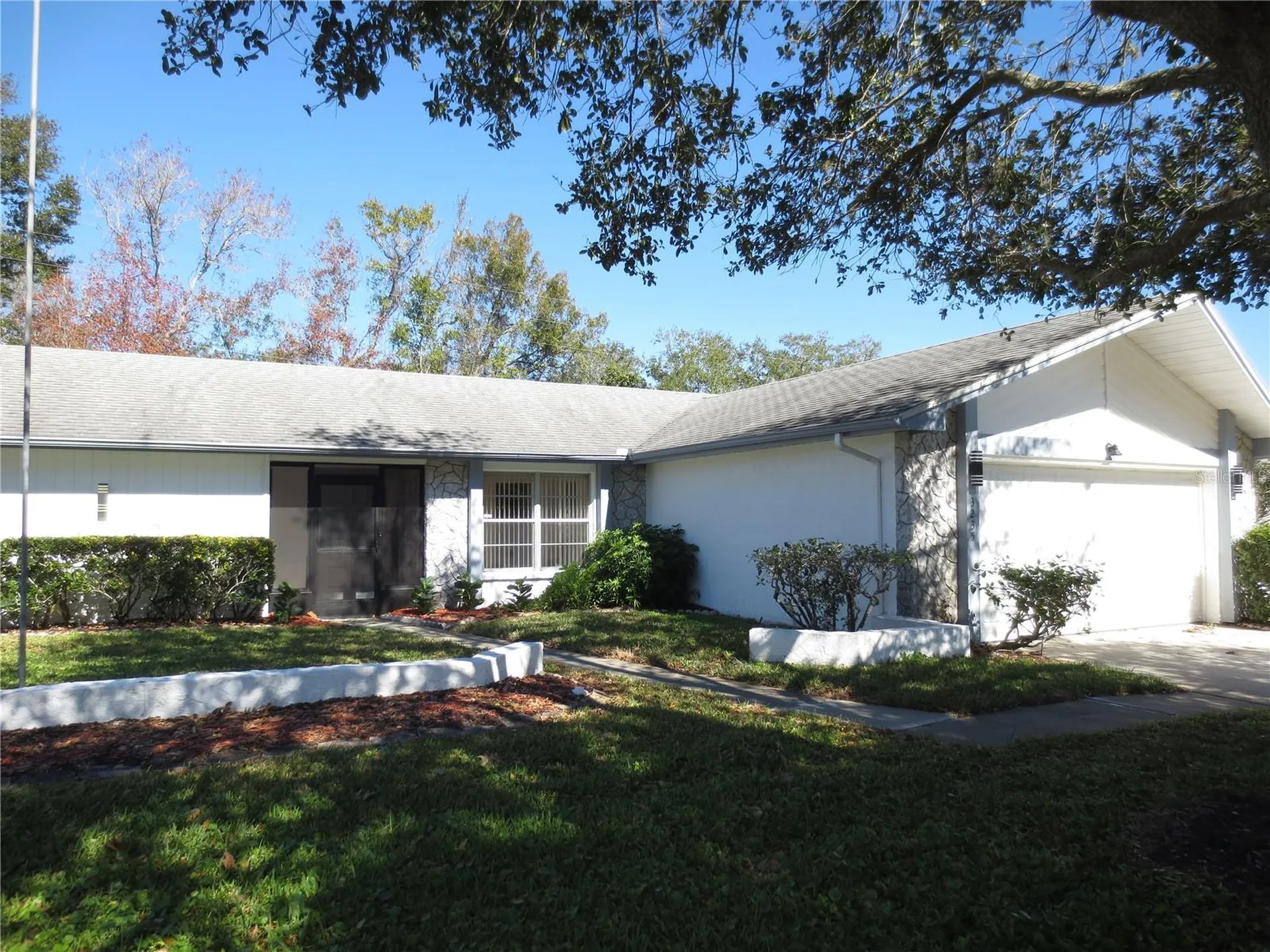 3235 E Dorchester Drive Palm Harbor FL 34684