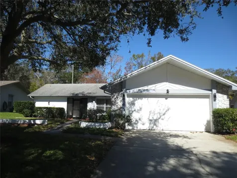 3235 E Dorchester Drive Palm Harbor FL 34684
