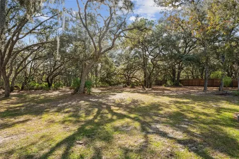 11185 Cleever Street Weeki Wachee FL 34614