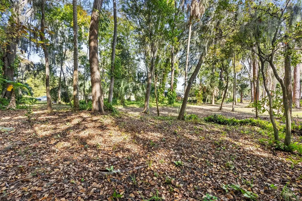 353 Lake Crescent Drive Debary FL 32713