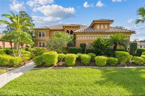 3800 Ivydale Court Land O Lakes FL 34638