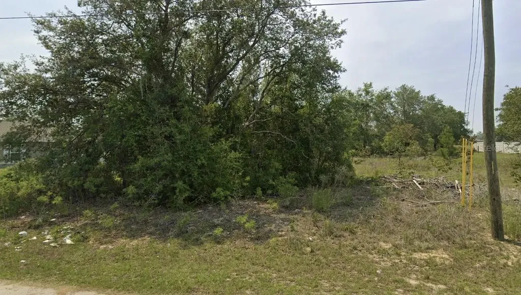 0 Malauka Radial Circle Ocklawaha FL 32179