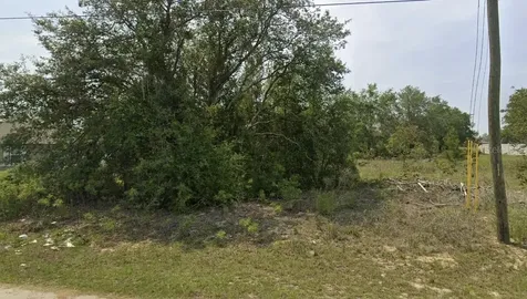 0 Malauka Radial Circle Ocklawaha FL 32179