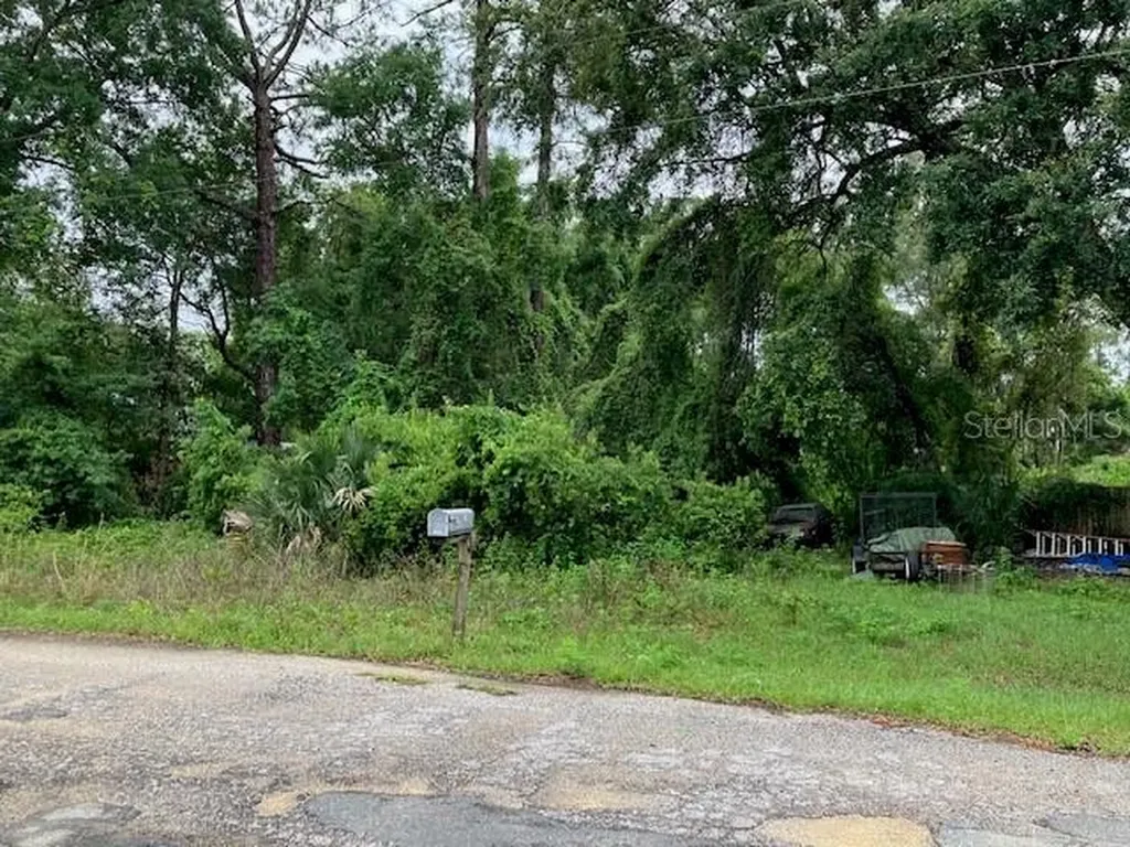 SE 21st Place Road Silver Springs FL 34488