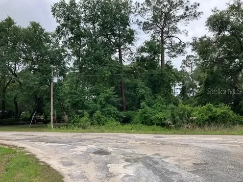 SE 21st Place Road Silver Springs FL 34488