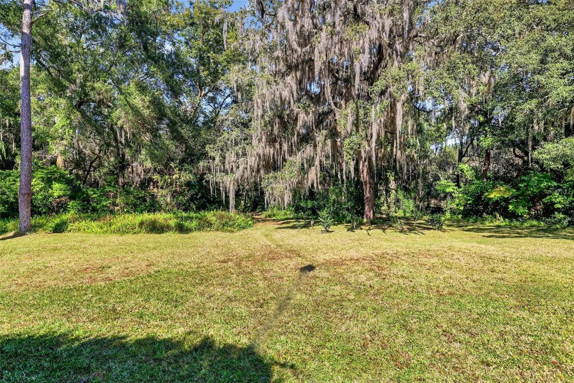 9345 Silver Lake Drive Leesburg FL 34788