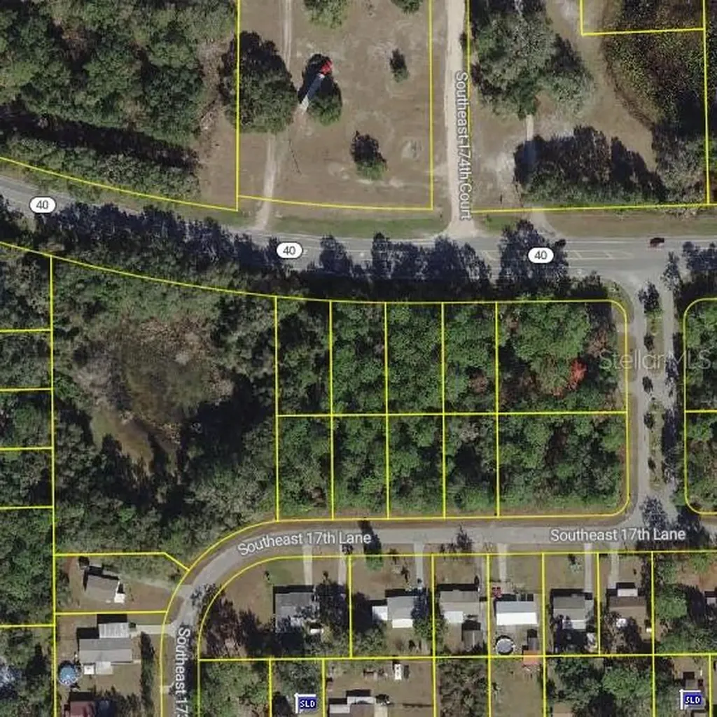 SE 17th Lane Ocklawaha FL 32179