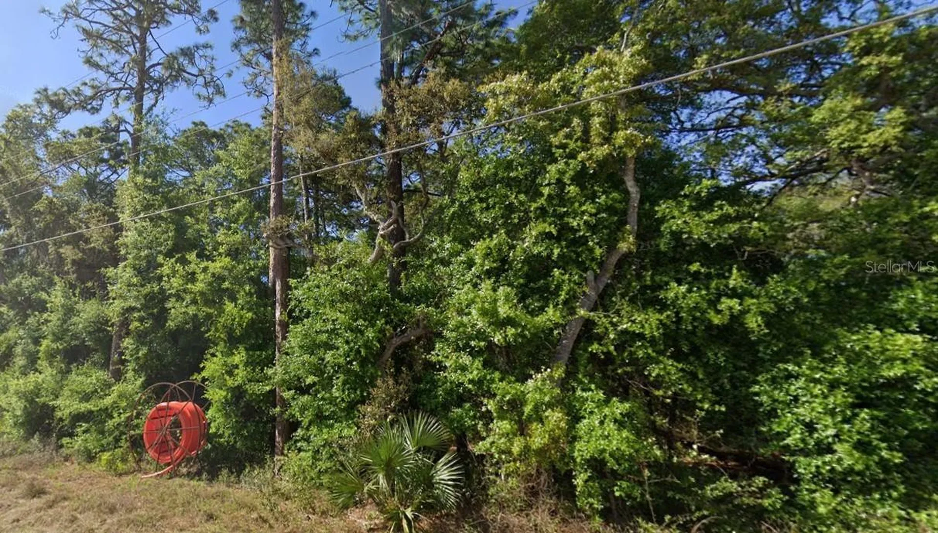 SE 17th Lane Ocklawaha FL 32179