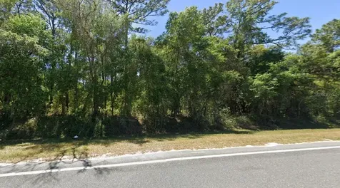 SE 17th Lane Ocklawaha FL 32179