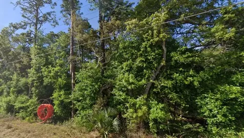 SE 17th Lane Ocklawaha FL 32179