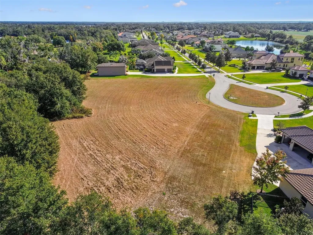 420 Hawk Talon Drive Lithia FL 33547