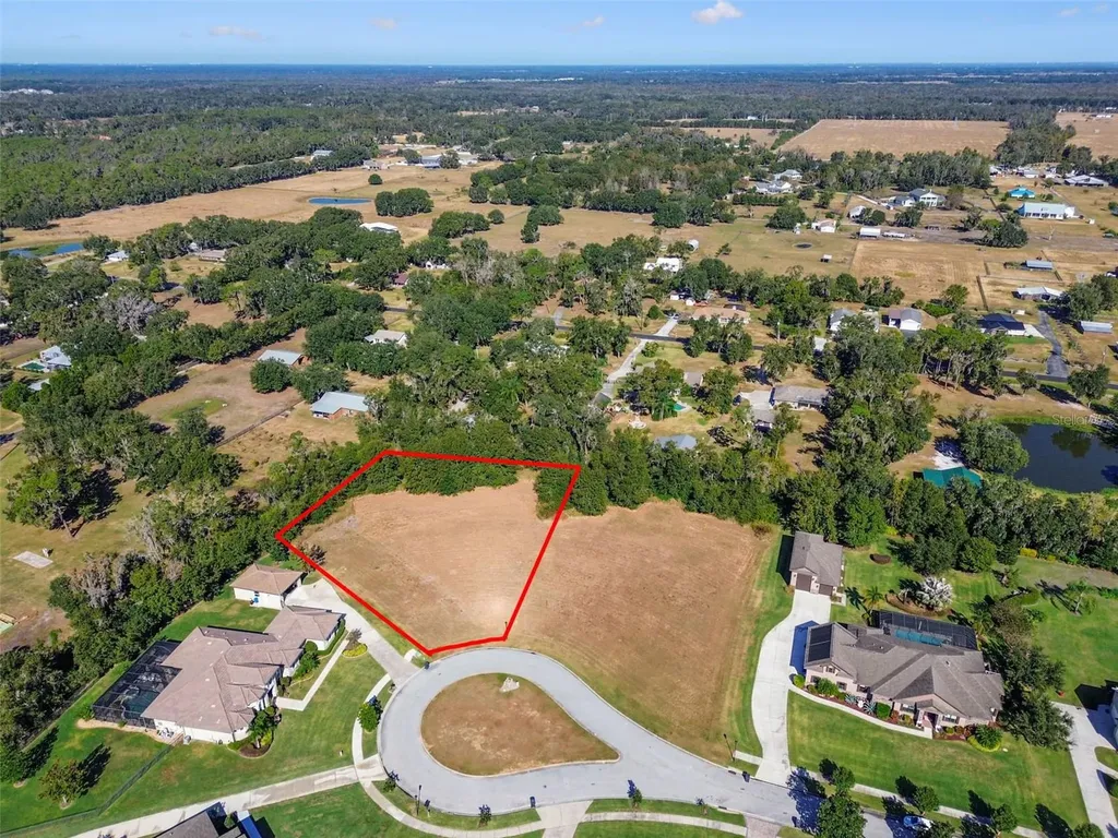 420 Hawk Talon Drive Lithia FL 33547