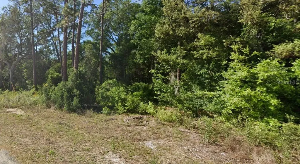 SE 17th Lane Ocklawaha FL 32179