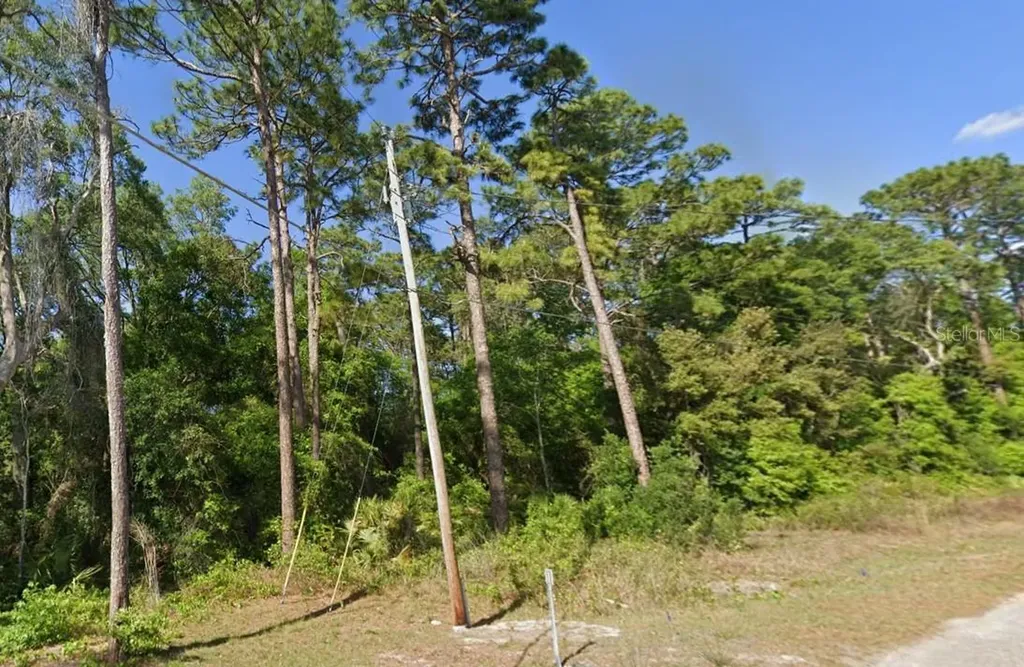SE 17th Lane Ocklawaha FL 32179