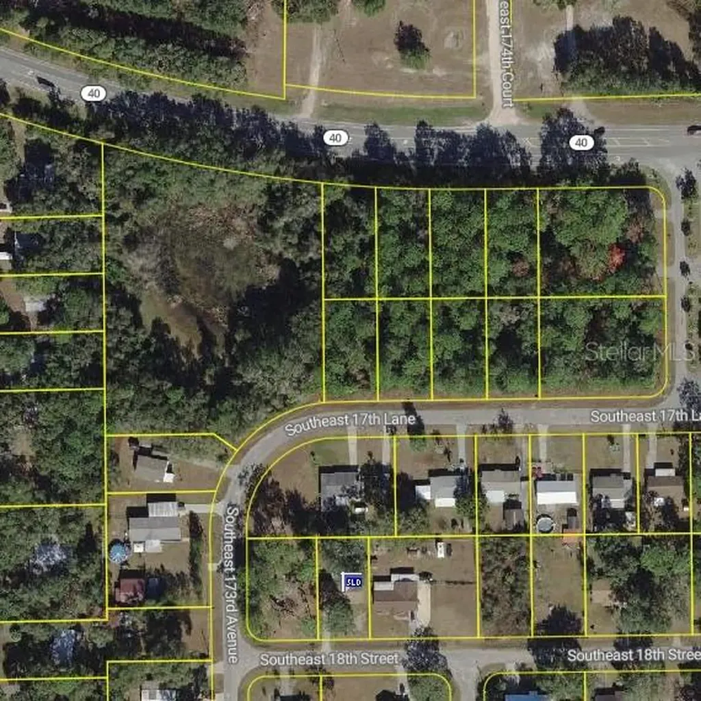 SE 17th Lane Ocklawaha FL 32179