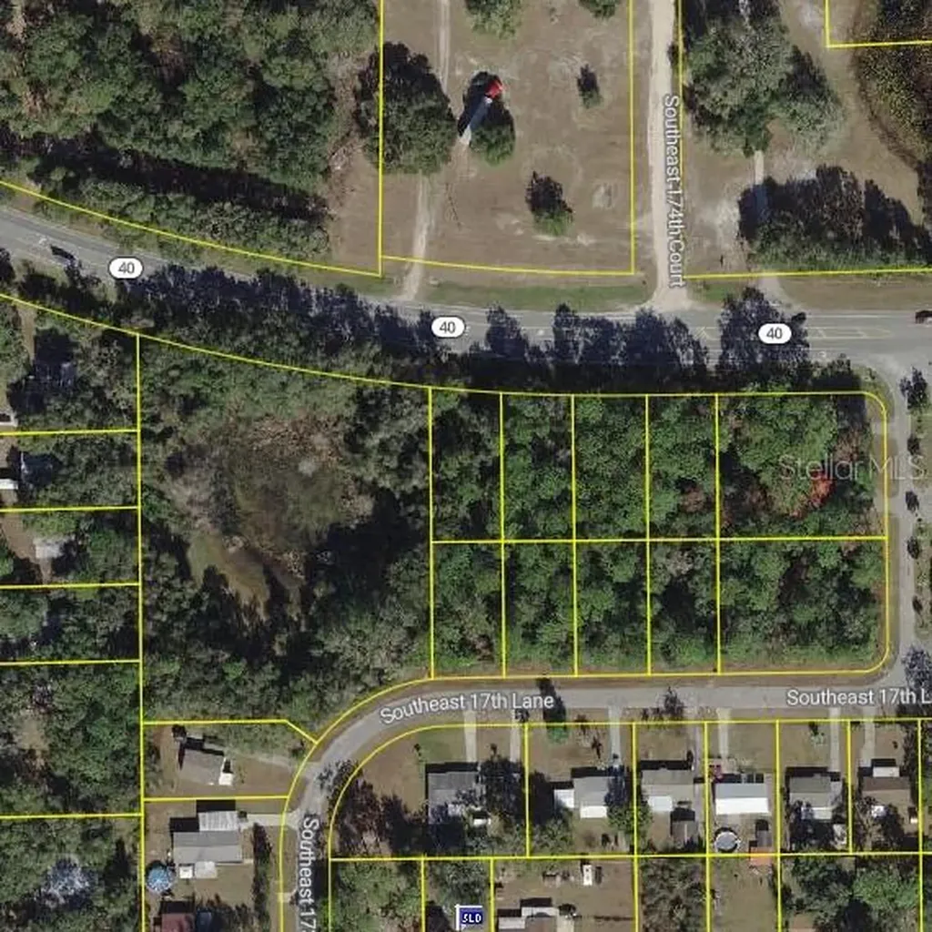 SE 17th Lane Ocklawaha FL 32179