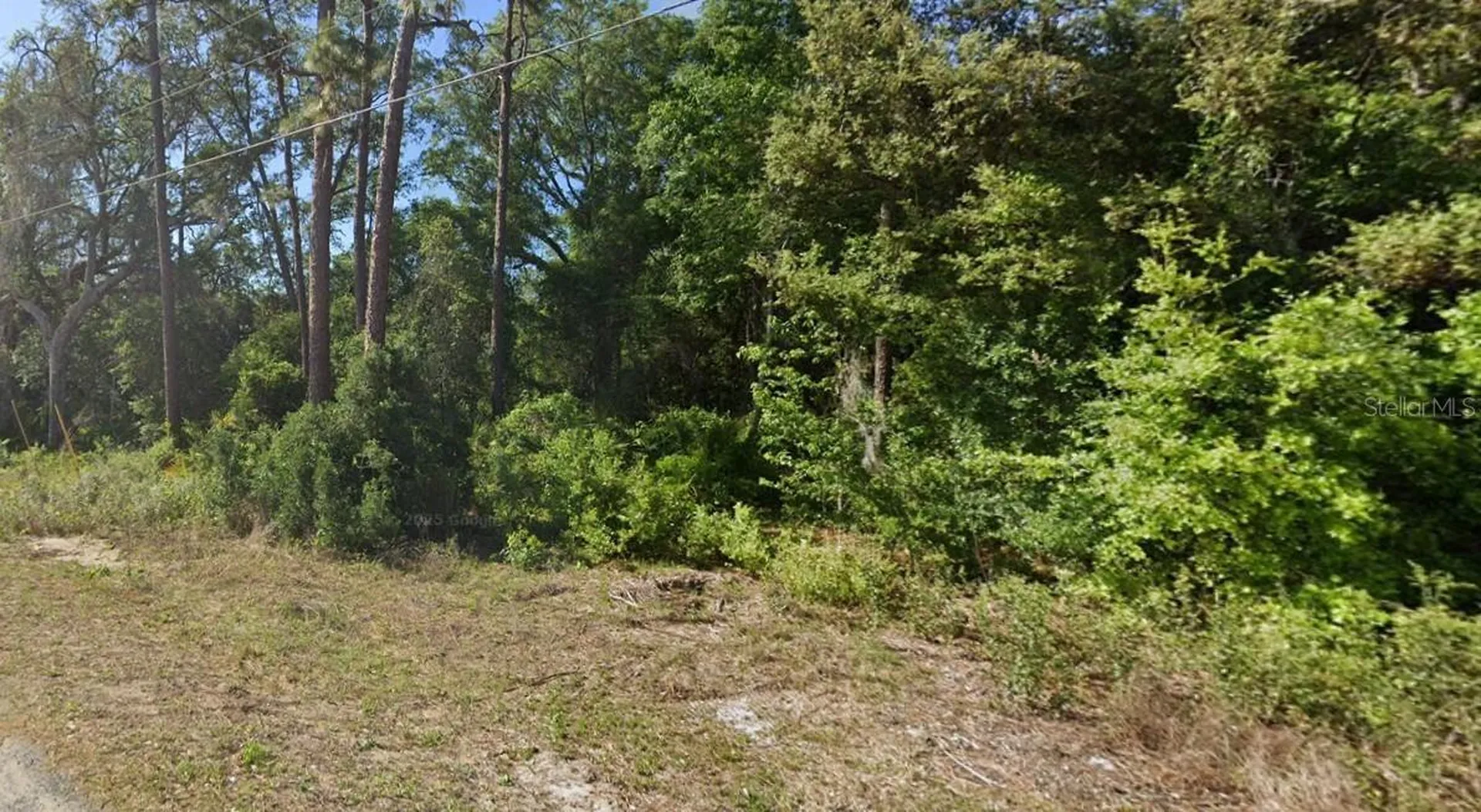 SE 17th Lane Ocklawaha FL 32179