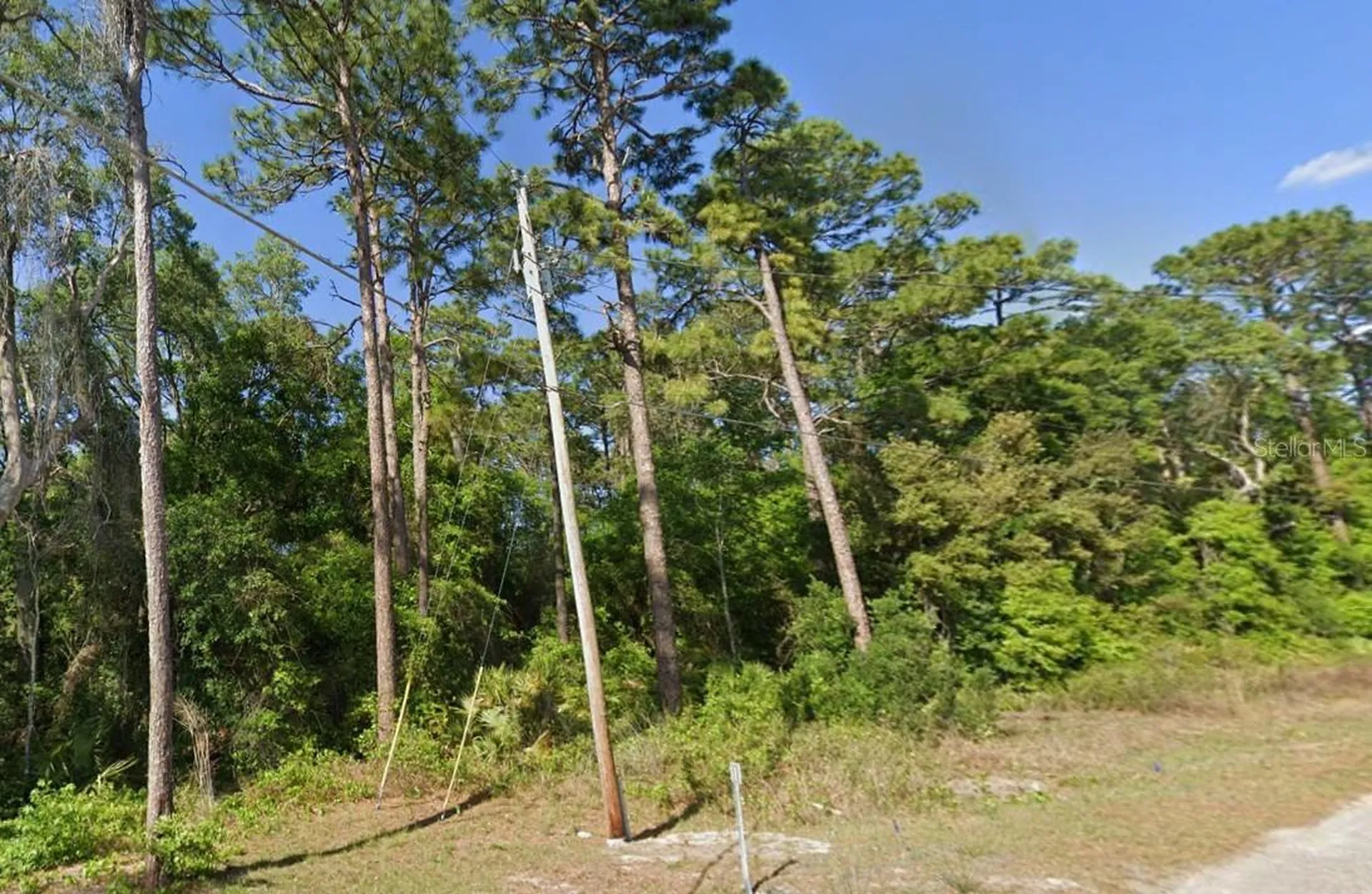 SE 17th Lane Ocklawaha FL 32179