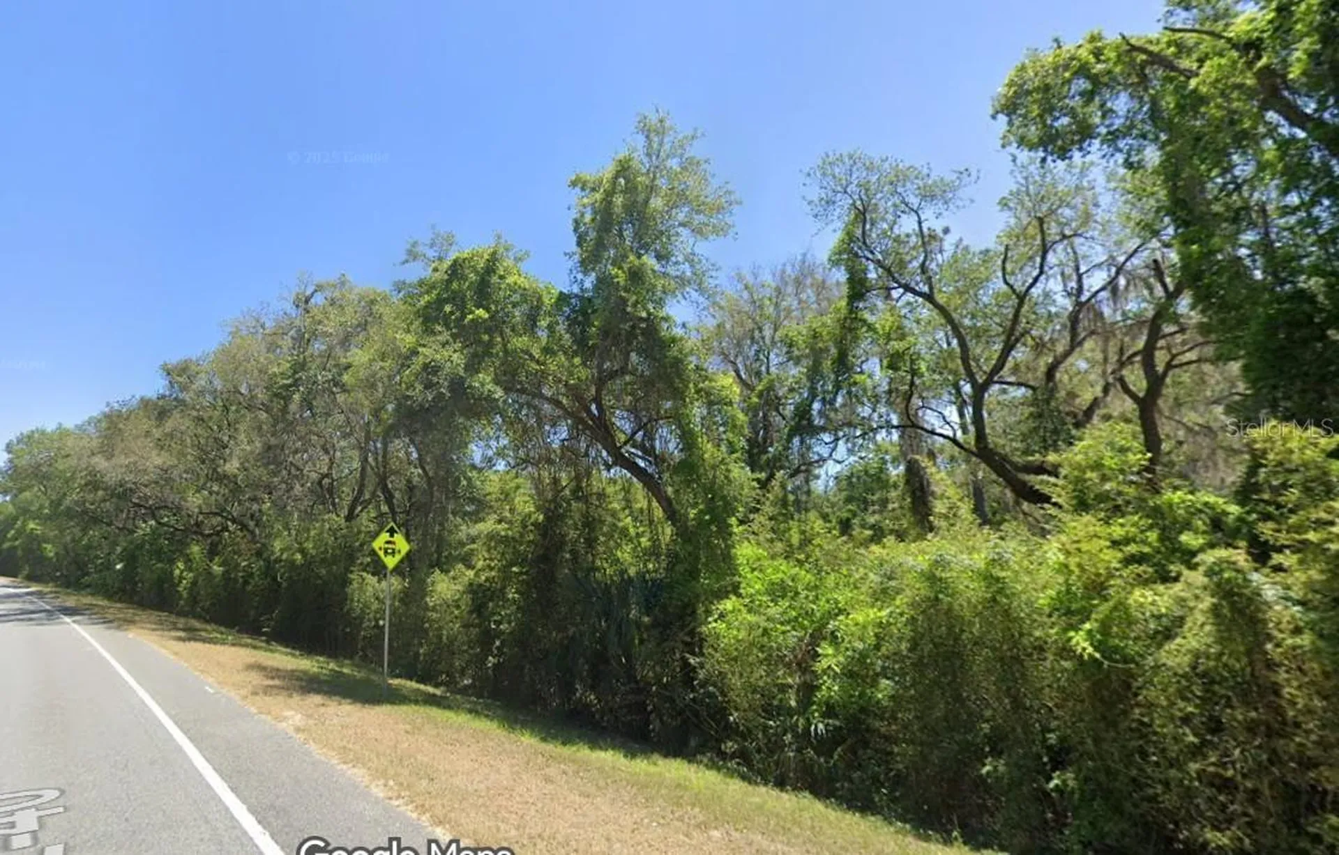 SE 17th Lane Ocklawaha FL 32179