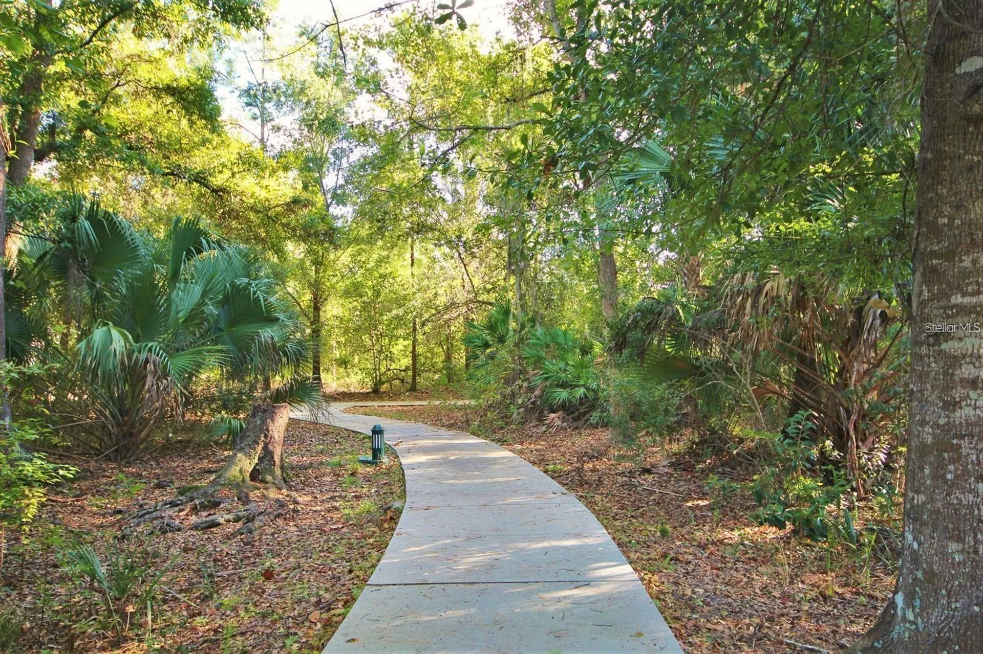 1007 Siena Park Boulevard E Kissimmee FL 34747
