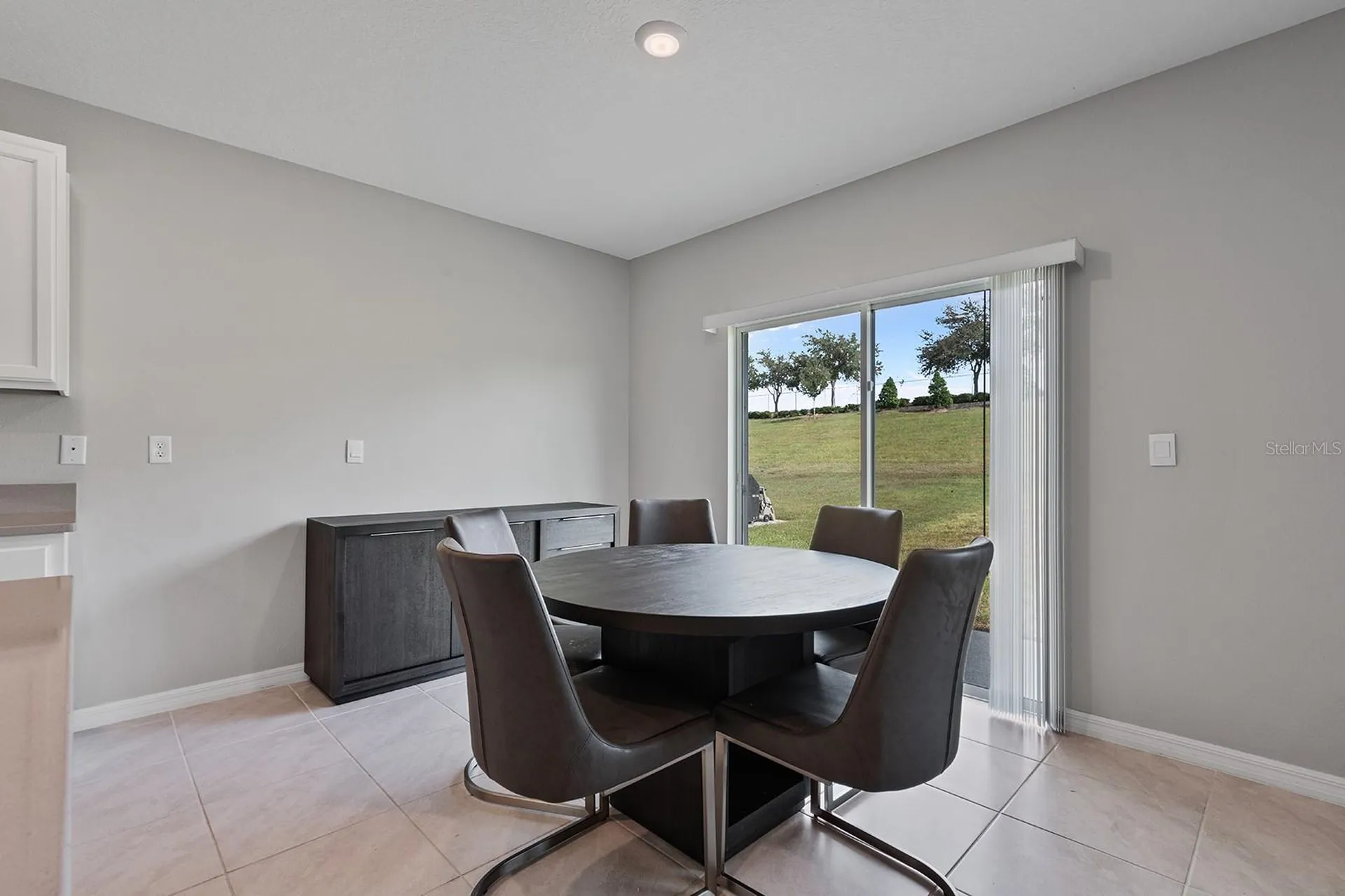 1328 Calmito Lane Mount Dora FL 32757