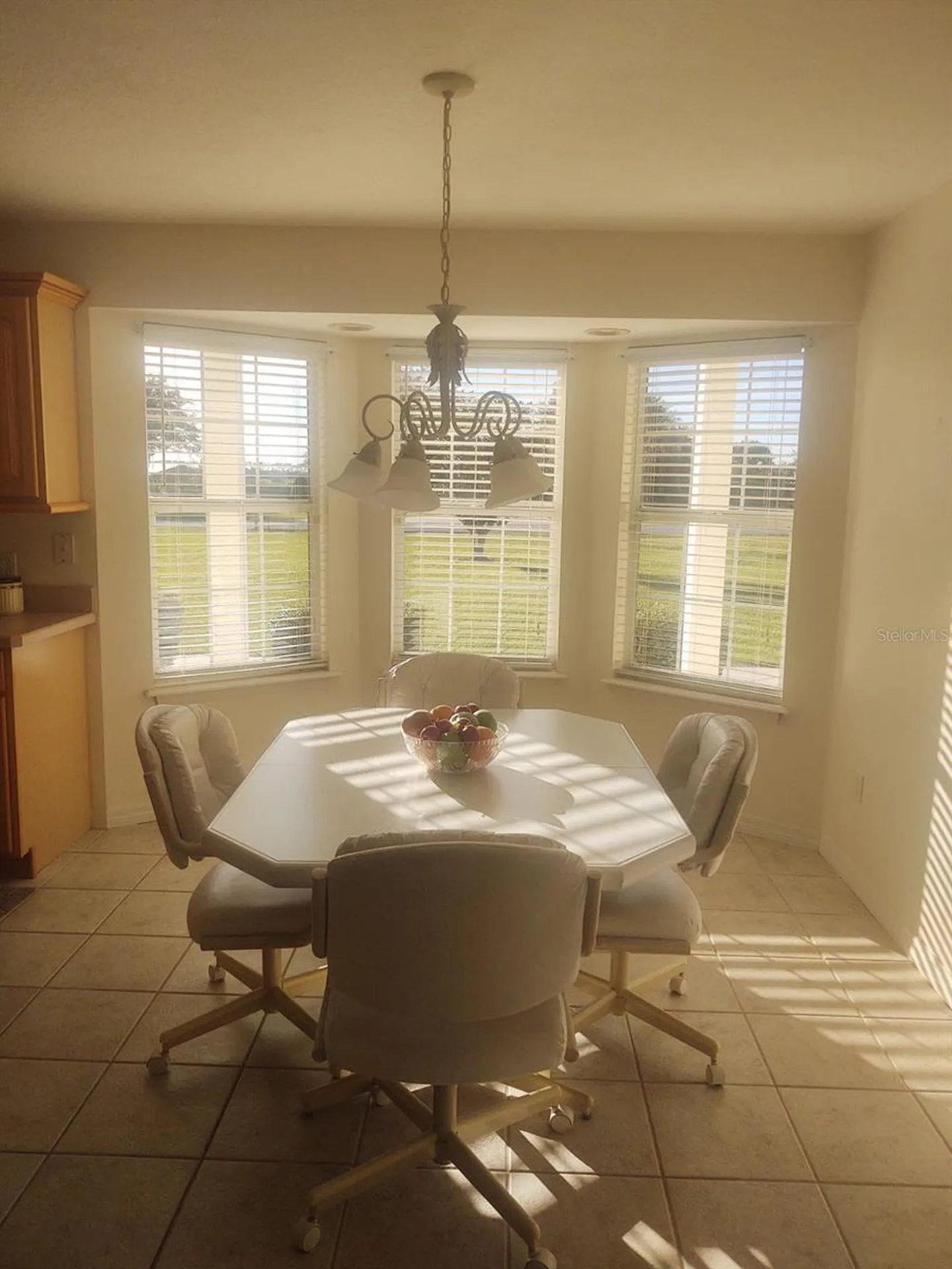 5655 Marion County Road Lady Lake FL 32159