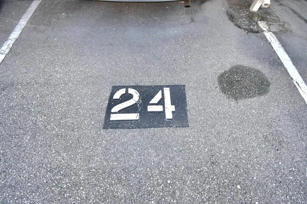 970 Virginia Street Dunedin FL 34698