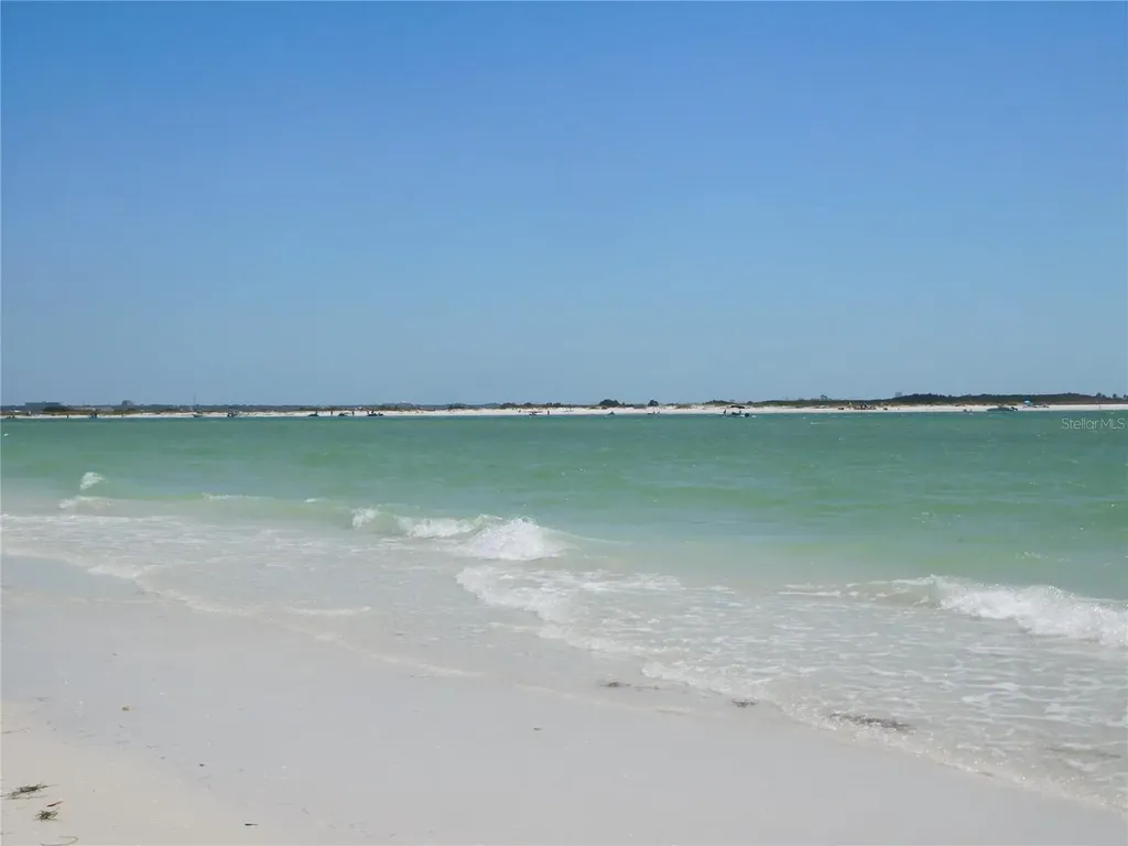 7 Elgin Place Dunedin FL 34698