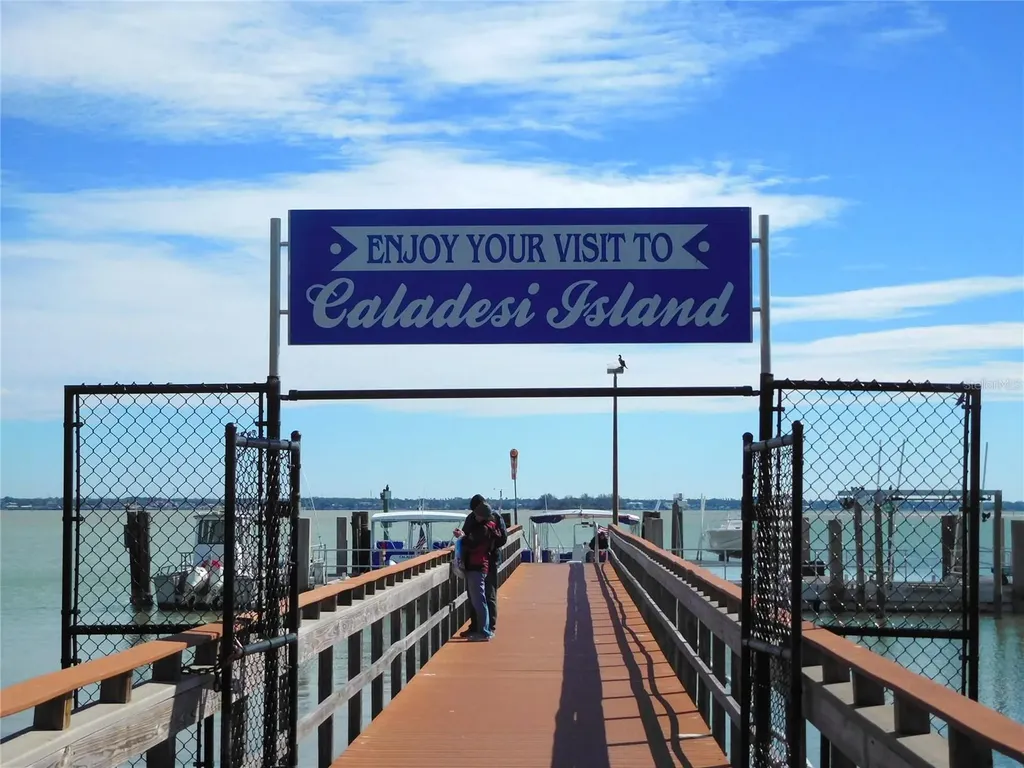 7 Elgin Place Dunedin FL 34698