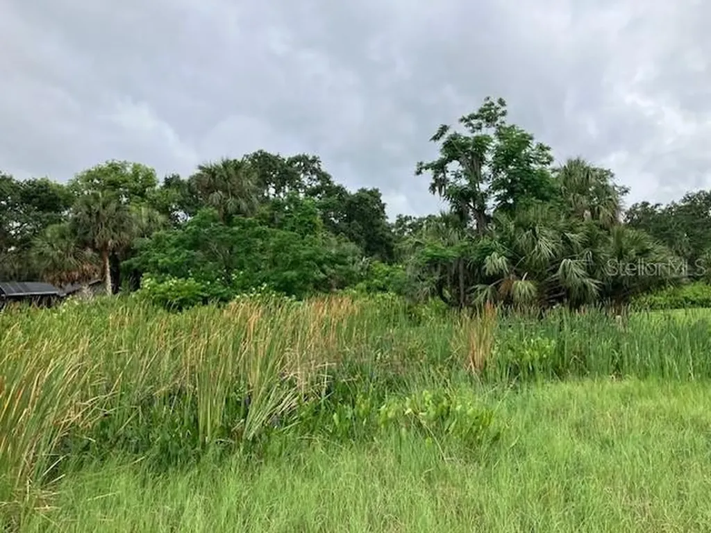 Mockingbird Lane Fruitland Park FL 34731