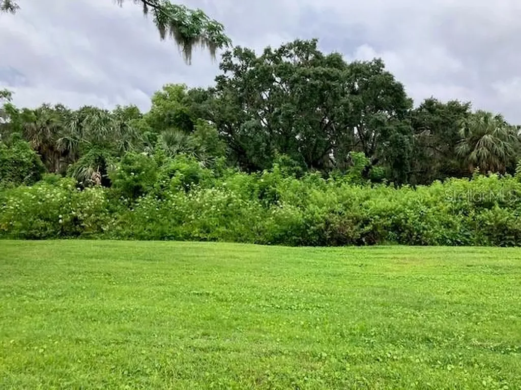 Mockingbird Lane Fruitland Park FL 34731
