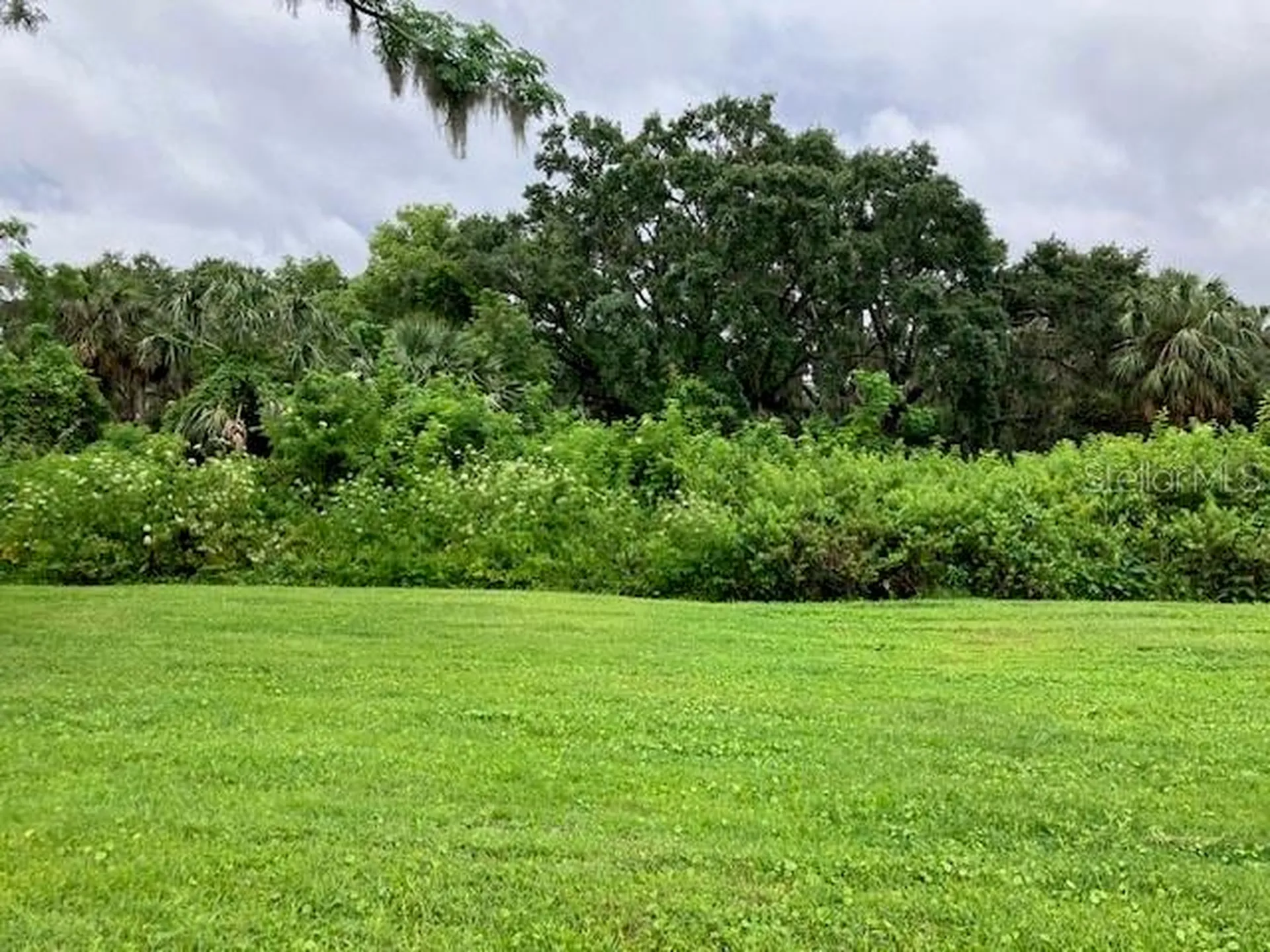 Mockingbird Lane Fruitland Park FL 34731
