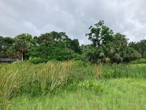 Mockingbird Lane Fruitland Park FL 34731
