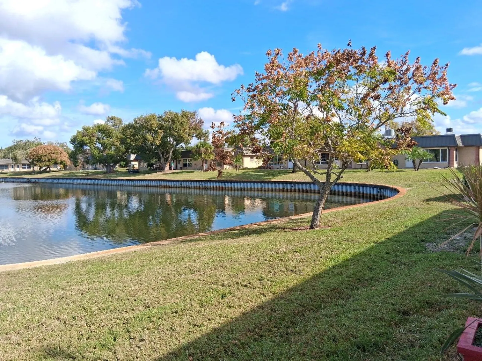 4326 Summersun Drive New Port Richey FL 34652