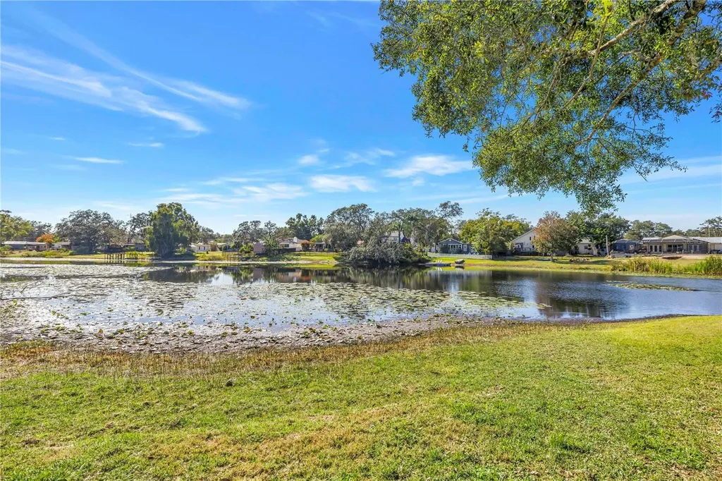 13216 Forest Hills Drive Tampa FL 33612