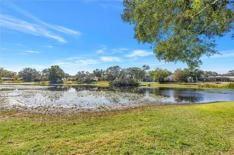 13216 Forest Hills Drive Tampa FL 33612