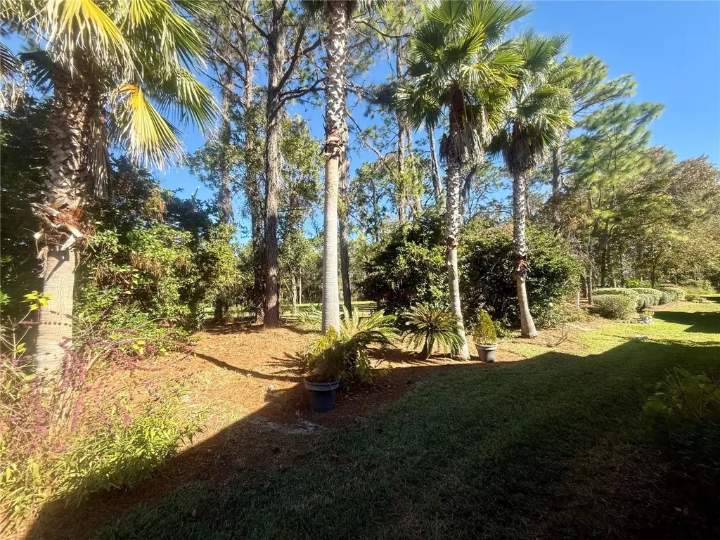 11621 SW 72nd Circle Ocala FL 34476
